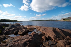 Белое море 2010. Сухие факты